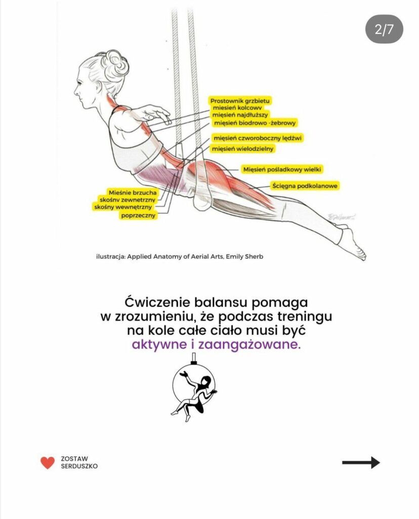 balans przodem na kole