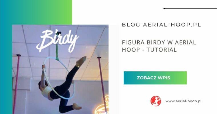 Figura Birdy w Aerial Hoop – tutorial